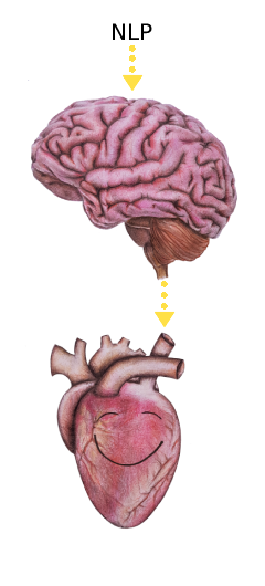 NLP KAROLÍNA kresba mozek srdce